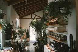 Finished kitchen with plants and open shelving